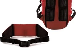 Cube Rucksack PURE 12 Red -Fahrradausrüstung Geschäft 12142 D 03 37767 1280x1280