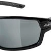 Alpina Sportbrille TRI-SCRAY 2.0 Black Gloss