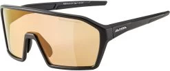Alpina Sportbrille RAM Q-LITE V Black Matt / Red