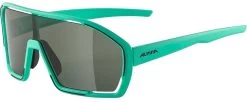 Alpina Sportbrille BONFIRE Turquoise Matt / Green